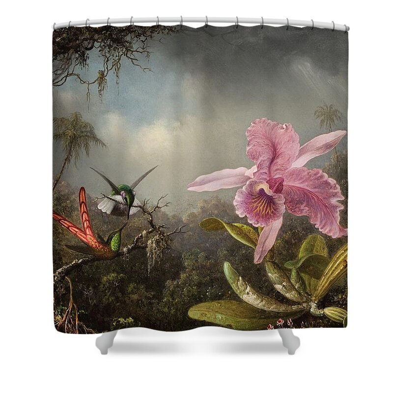 Orchid With Two Hummingbirds Shower Curtain featuring the painting Orchid with Two Hummingbirds #1 by Martin Johnson Heade