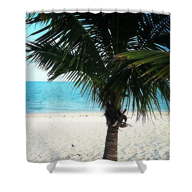 Palm Tree Shower Curtain featuring the photograph Palm Tree #2 by Katikaila Green
