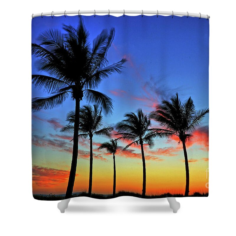Beach Shower Curtain featuring the photograph Palm Tree Skies by Scott Mahon