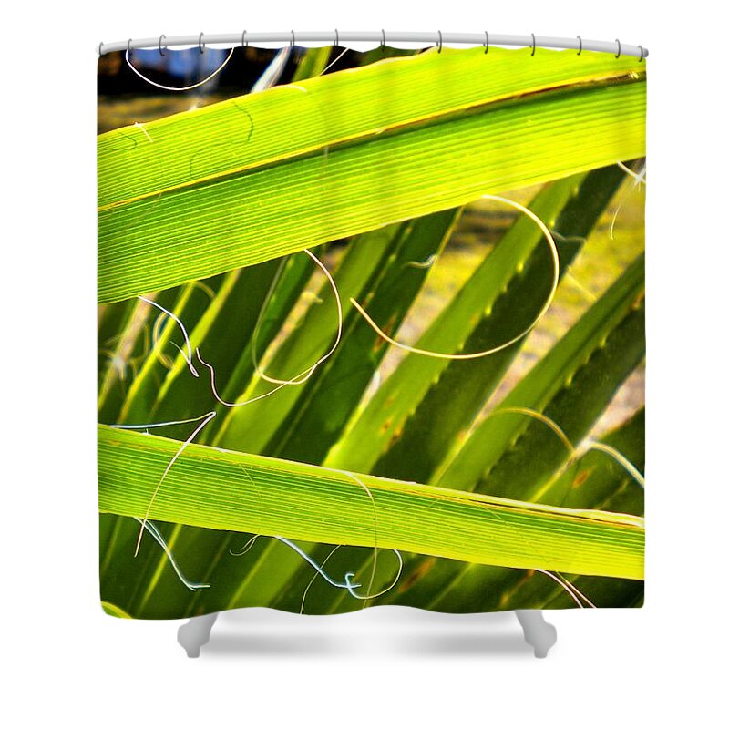 Palmetto Shower Curtain featuring the painting Palmetto 3 #1 by Renate Wesley
