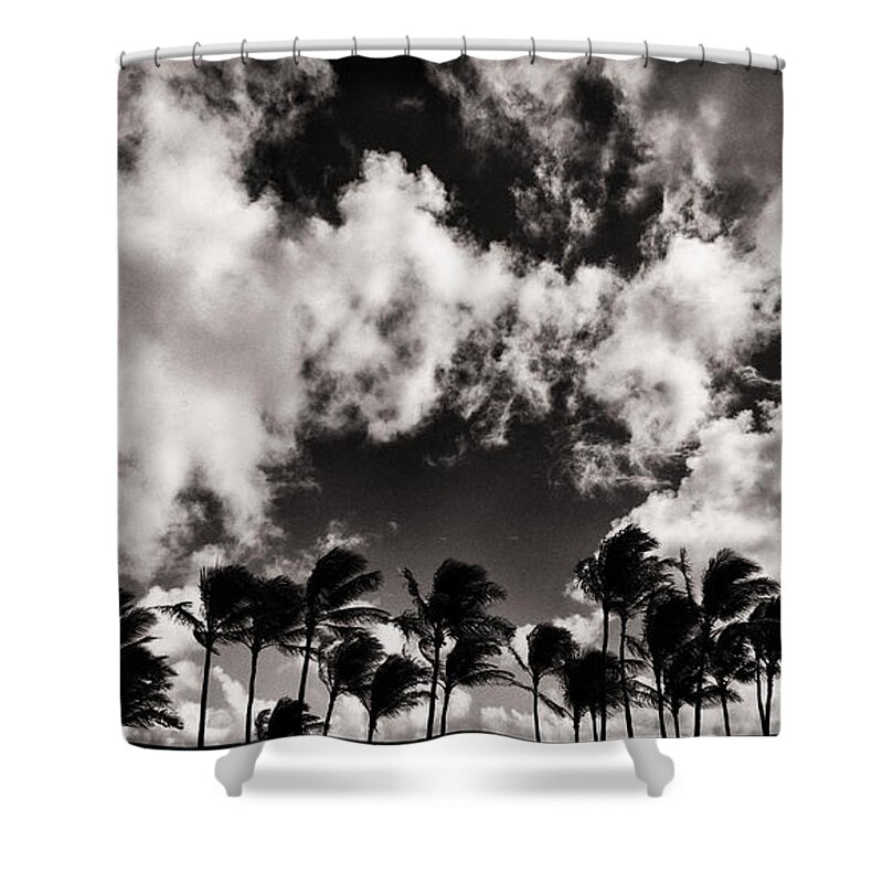  Shower Curtain featuring the photograph Palms Blowing in the Wind #2 by Lawrence Knutsson