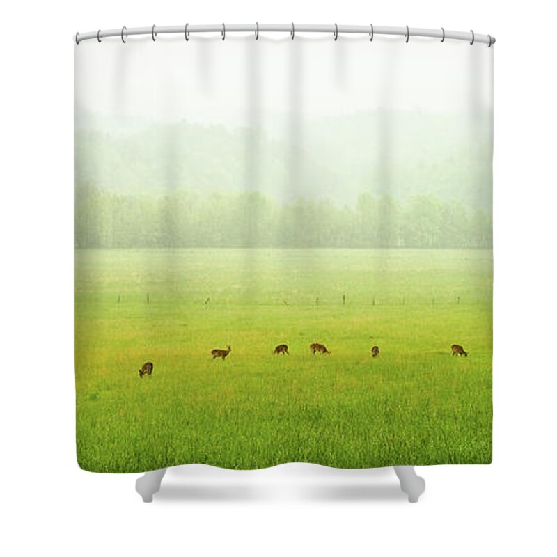 Deer Shower Curtain featuring the photograph Peace In Cades Cove #1 by Randall Evans
