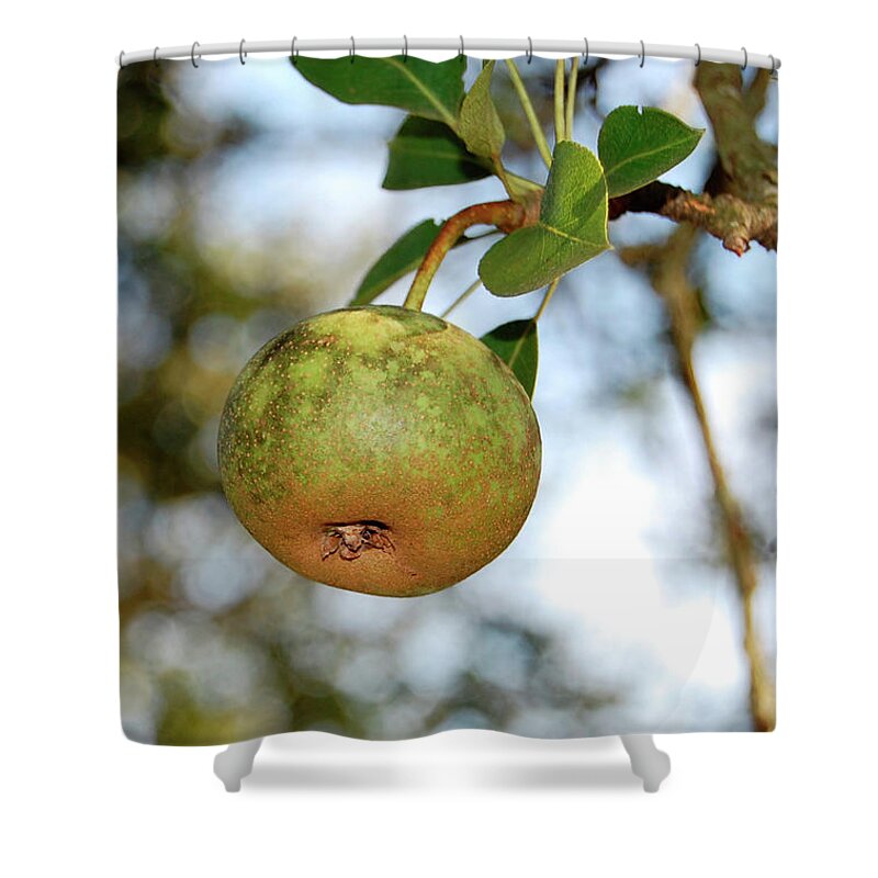 Pear Shower Curtain featuring the photograph Pear #1 by Amber Flowers
