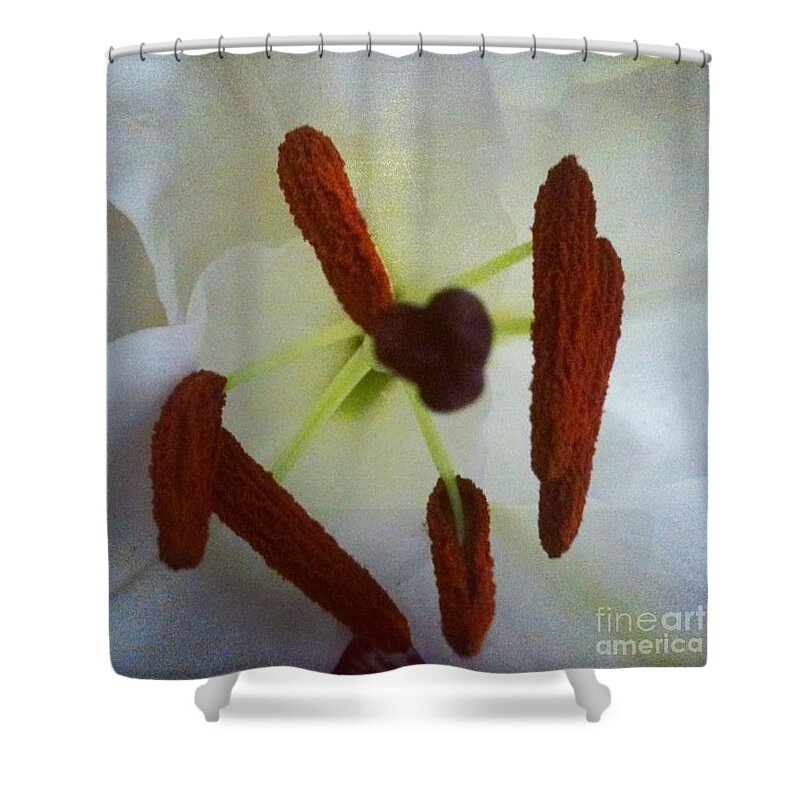 Flower Shower Curtain featuring the photograph Peek by Denise Railey