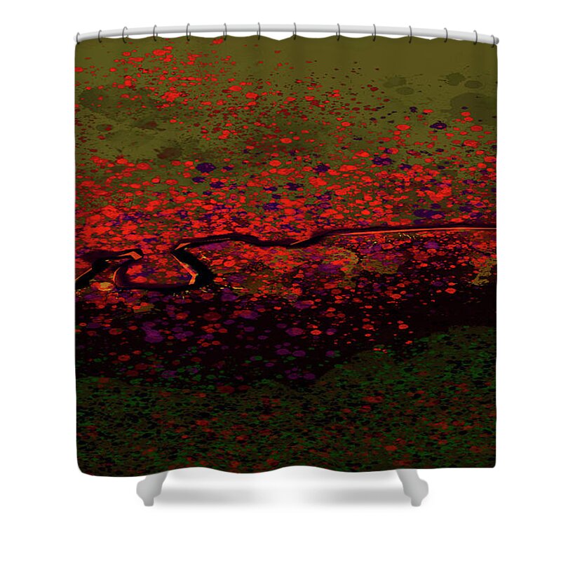  Shower Curtain featuring the mixed media Petal Blast #1 by Terence Morrissey