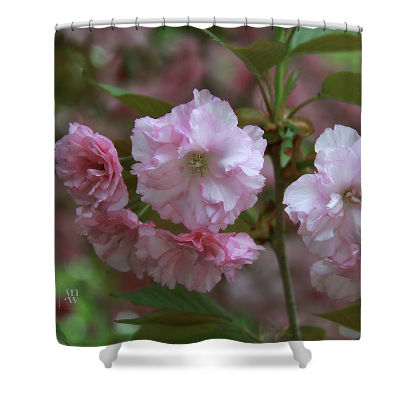 Pink Shower Curtain featuring the photograph Pink Blossoms of Crabapple Tree by Yvonne Wright