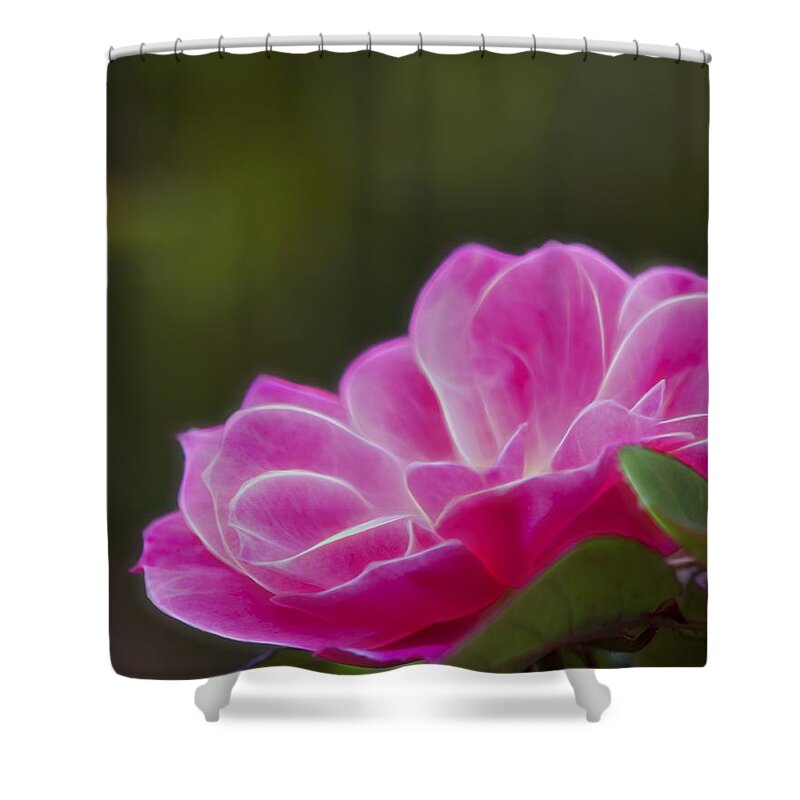 Pink Rose Shower Curtain featuring the photograph Pink Rose Digital Art 1 #2 by Walter Herrit