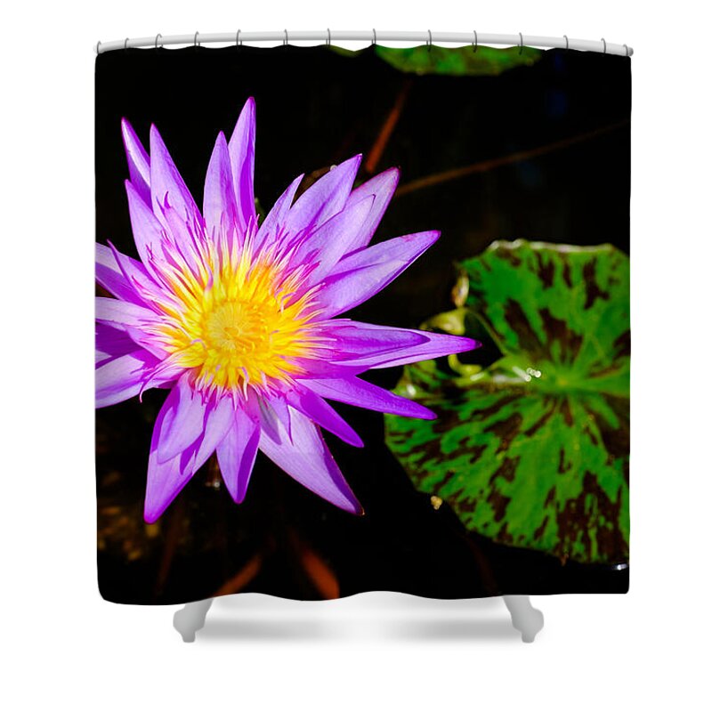 Asian Shower Curtain featuring the photograph Pretty flower #1 by Raul Rodriguez