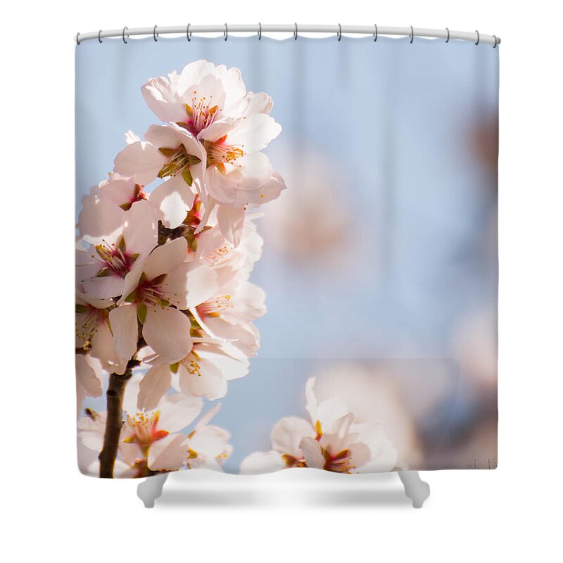 Flowers Shower Curtain featuring the photograph Pretty in Pink #1 by Wendy Carrington