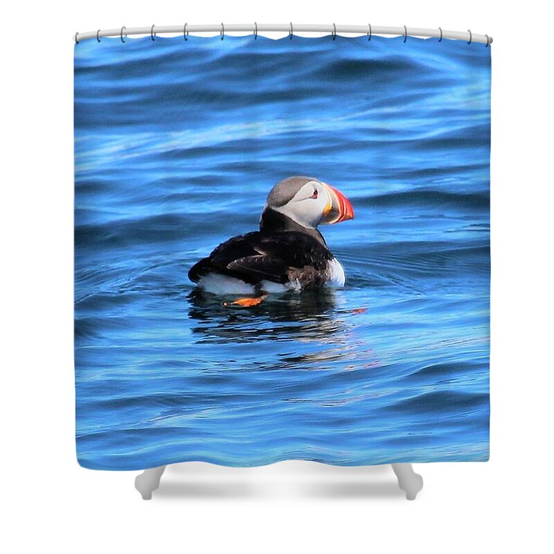 Puffin Shower Curtain featuring the photograph Puffin #1 by Jewels Hamrick