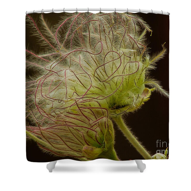Red Shower Curtain featuring the photograph Quirky Red Squiggly Flower 3 by Christy Garavetto