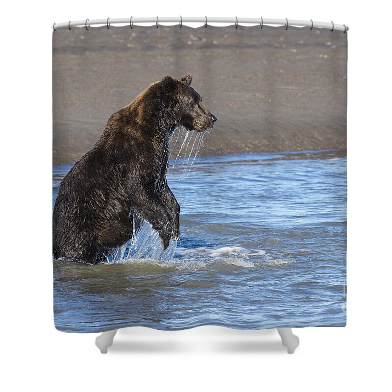 Animals Shower Curtain featuring the photograph Ready, Set, Go #1 by Sandra Bronstein