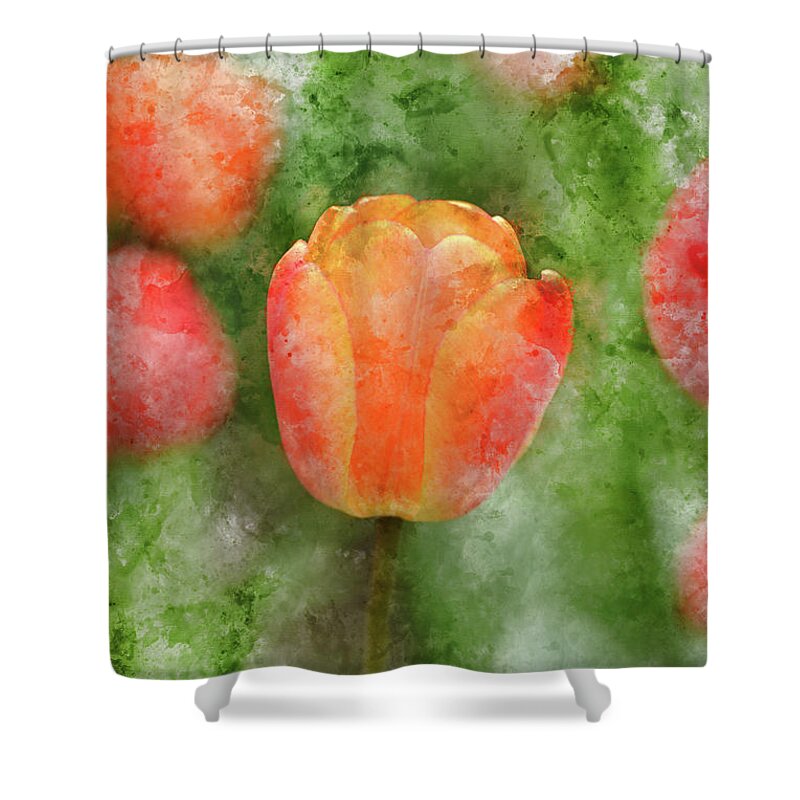 Flower Shower Curtain featuring the photograph Red and Orange Tulip in Spring #1 by Brandon Bourdages