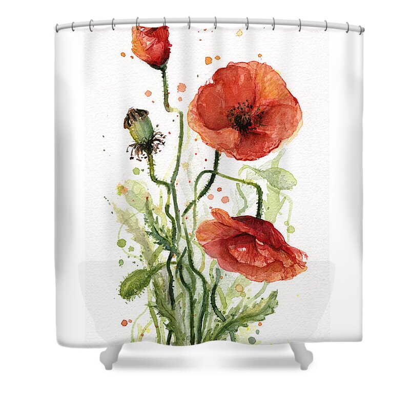 Red Poppy Shower Curtain featuring the painting Red Poppies Watercolor by Olga Shvartsur