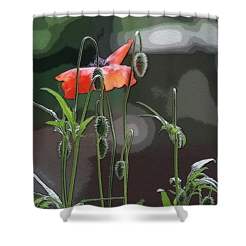 Flowers Shower Curtain featuring the photograph Red Poppies by Yvonne Wright