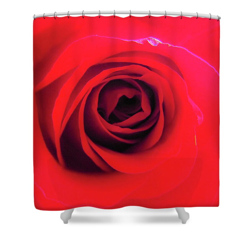 Flower Shower Curtain featuring the photograph Red Rose #1 by Cesar Vieira