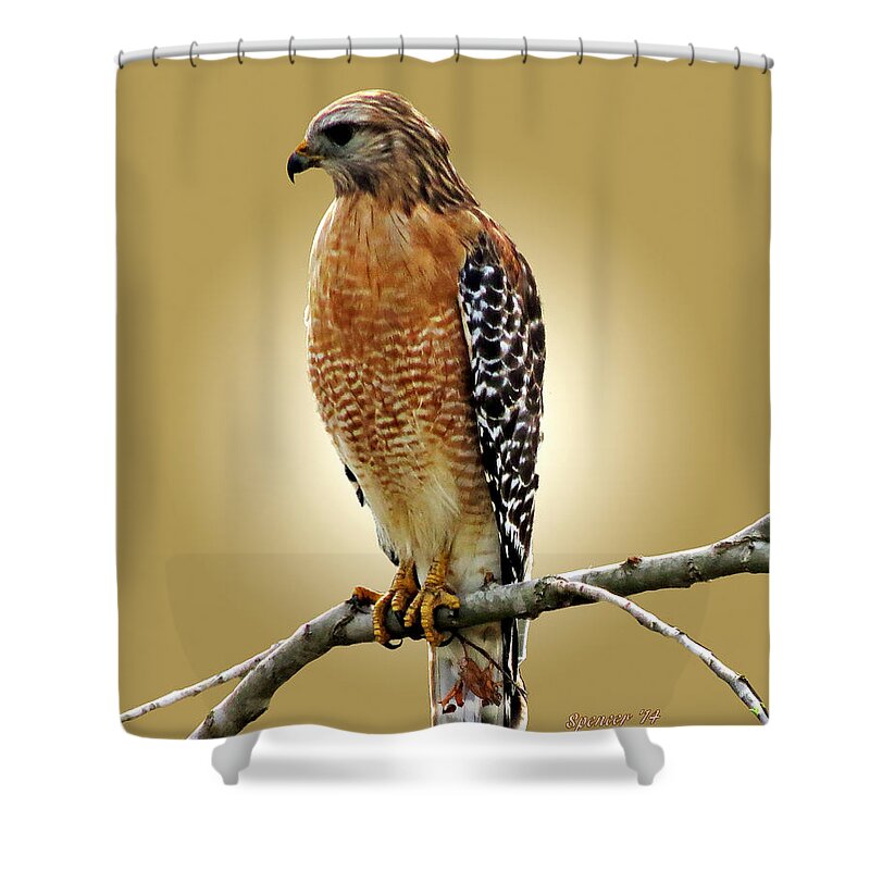 Florida Shower Curtain featuring the photograph Red Shoulders #1 by T Guy Spencer