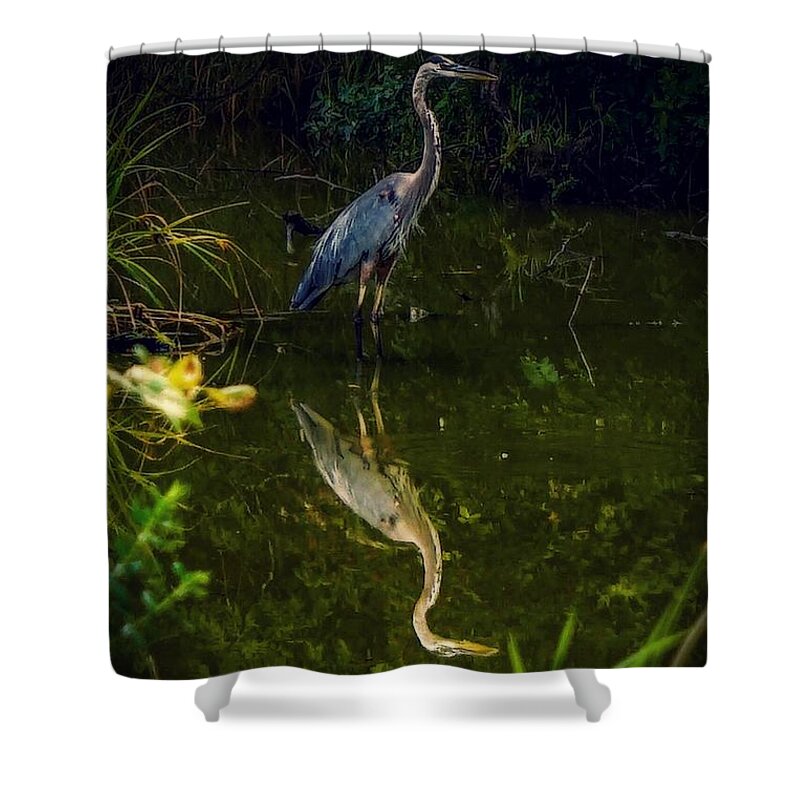  Shower Curtain featuring the photograph Reflect. by Kendall McKernon