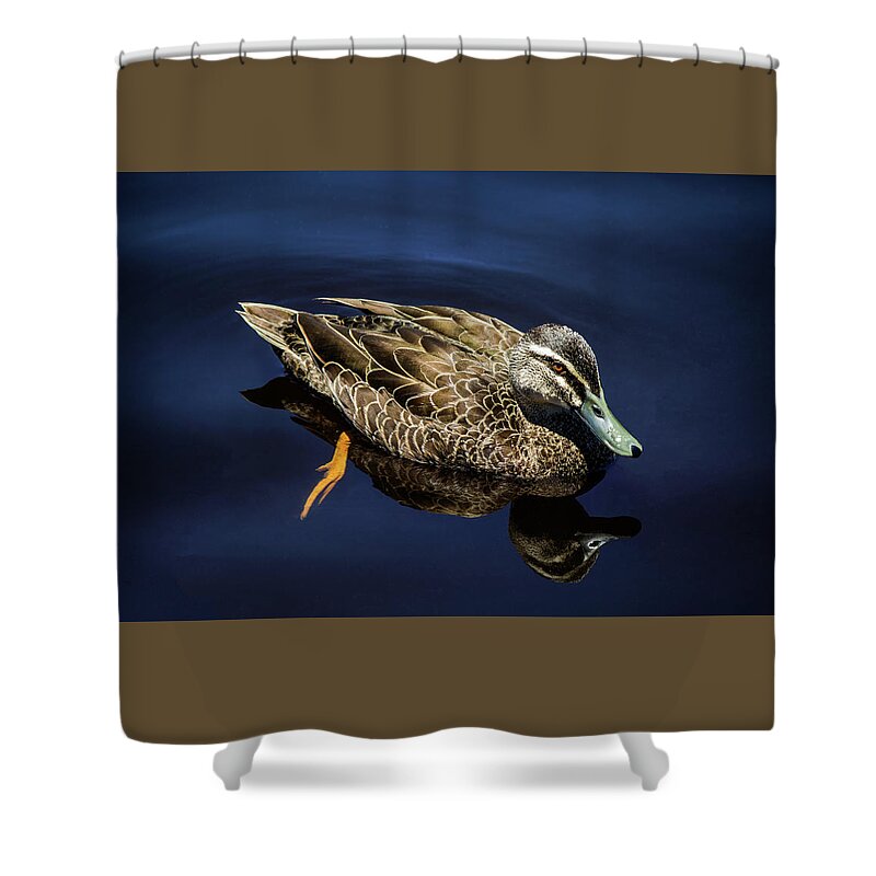 Duck Shower Curtain featuring the photograph Reflections #2 by Tania Read