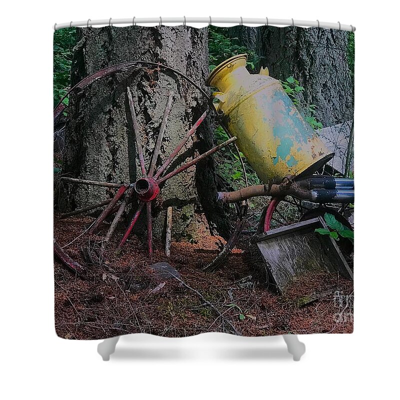 Photography Shower Curtain featuring the photograph Reliquary #2 by Sean Griffin