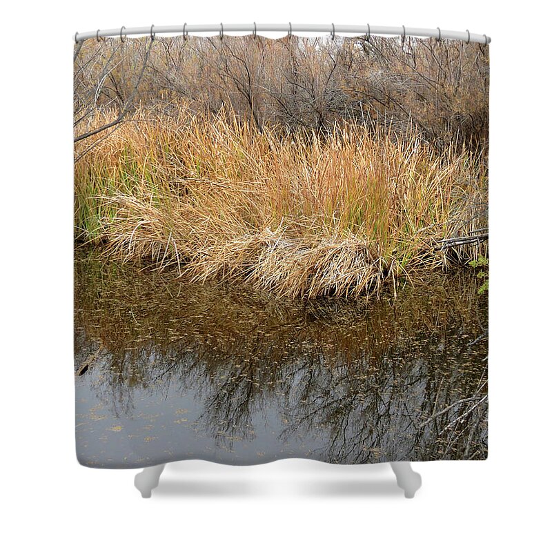 Riparian Shower Curtain featuring the photograph River Grass #1 by Laurel Powell