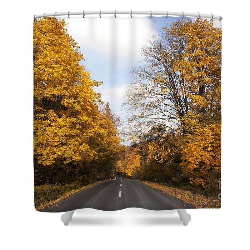 Asphalt Shower Curtain featuring the photograph Road In Autumn Forest #1 by Michal Boubin