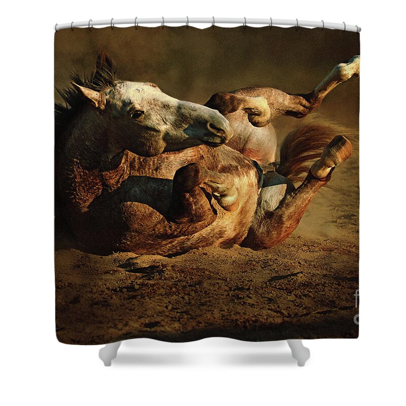 Animal Shower Curtain featuring the photograph Beautiful Rolling Horse by Dimitar Hristov