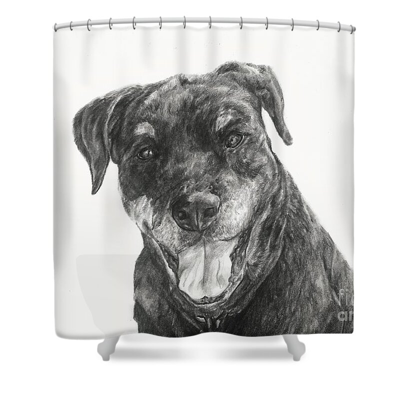 Dog Shower Curtain featuring the drawing Ruby #1 by Meagan Visser