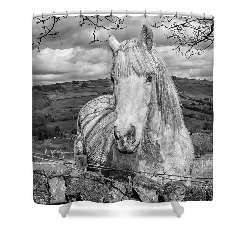 Birds & Animals Shower Curtain featuring the photograph Rustic Horse #1 by Nick Bywater