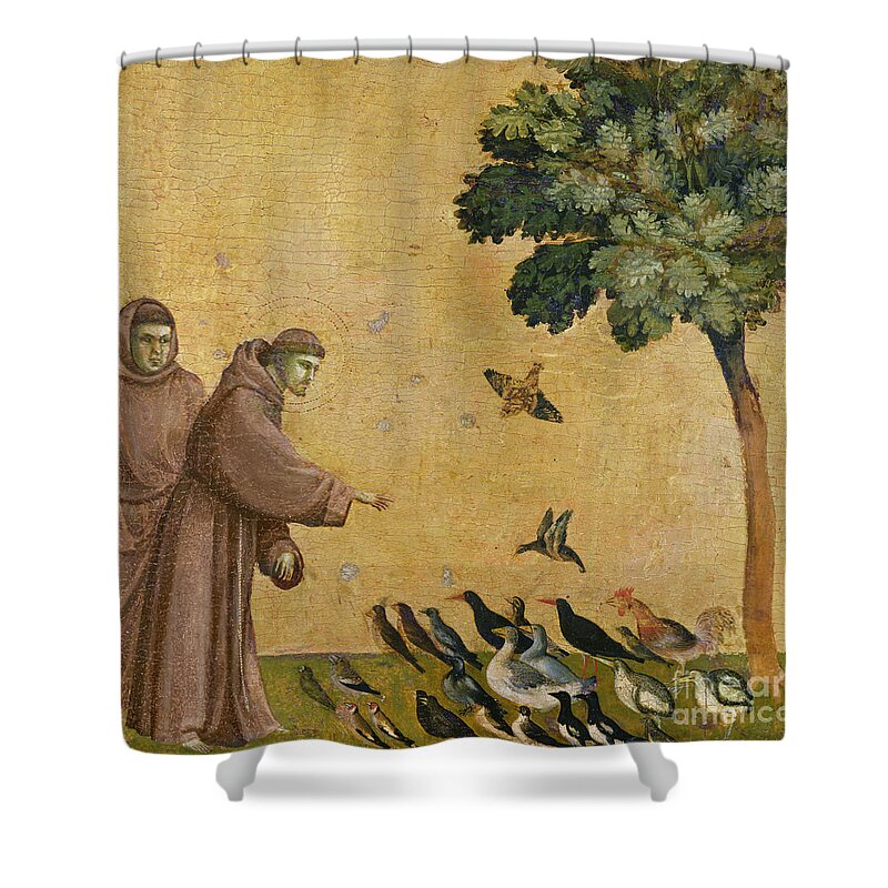 Francis Shower Curtain featuring the painting Saint Francis of Assisi preaching to the birds by Giotto di Bondone