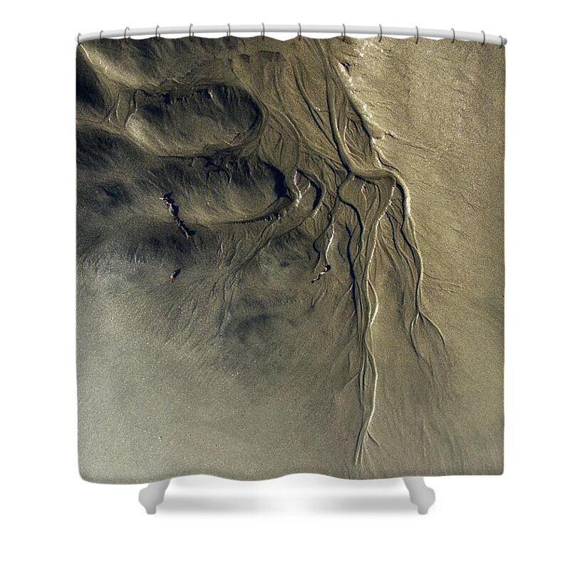 Newel Hunter Shower Curtain featuring the photograph Sandscape 1 #1 by Newel Hunter