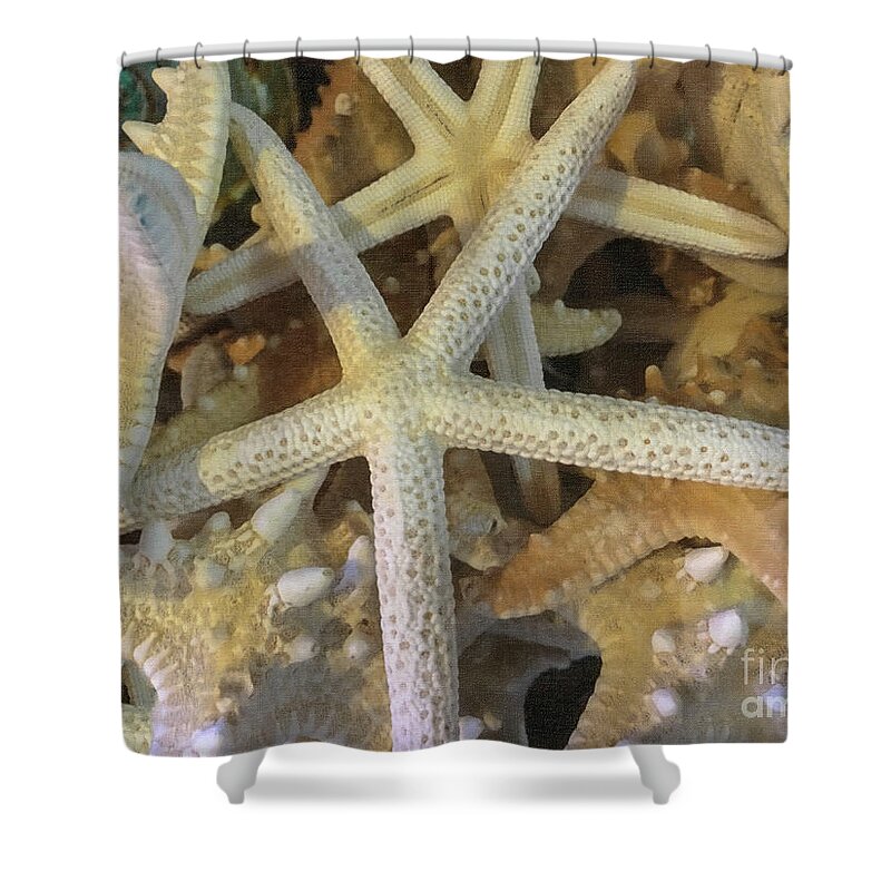 Sea Shell Shower Curtain featuring the photograph Sea Shells by Dale Powell