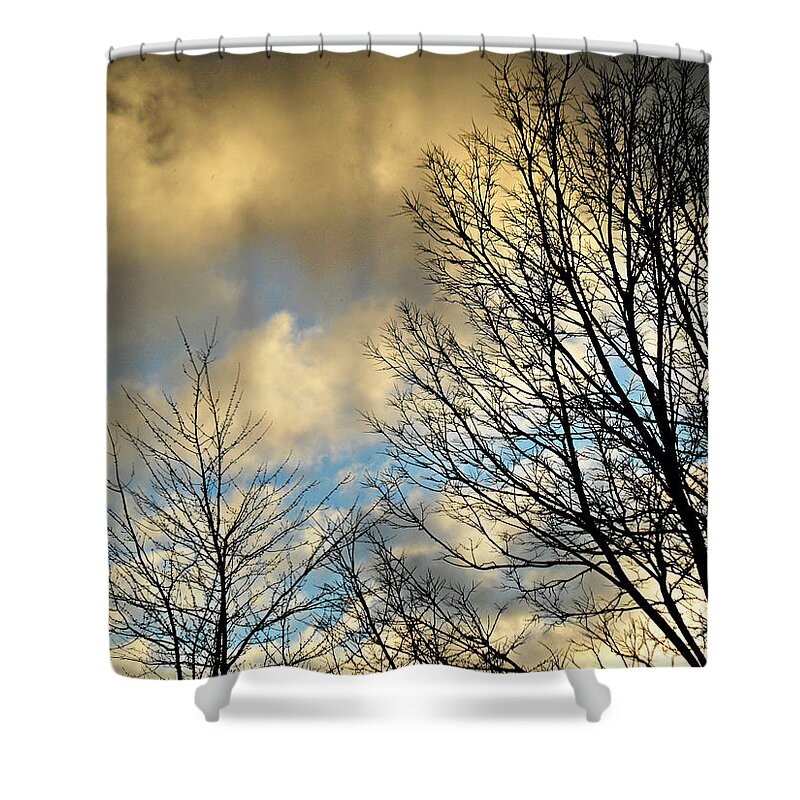 Slightly Overcast Shower Curtain featuring the photograph Slightly Overcast #1 by Cyryn Fyrcyd