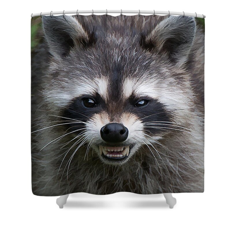 Portrait Shower Curtain featuring the photograph Snarling Raccoon #1 by Joye Ardyn Durham