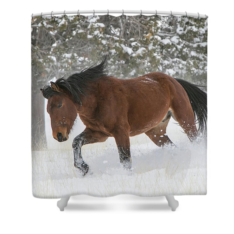 Horse Shower Curtain featuring the photograph Snowplow #1 by Kent Keller