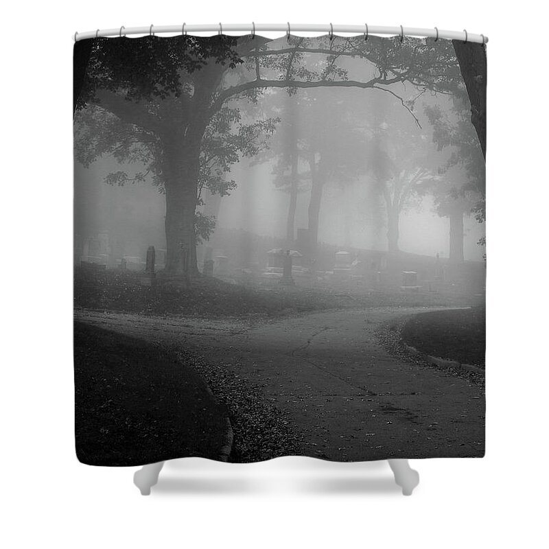 Autumn Shower Curtain featuring the photograph Split #2 by Wild Thing