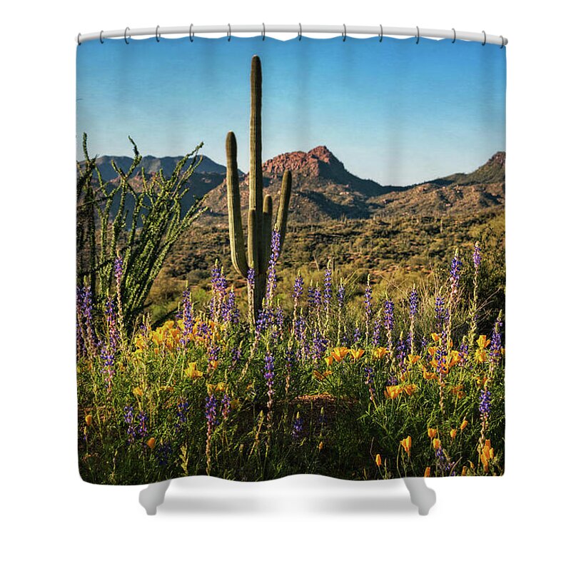 Poppies Shower Curtain featuring the photograph Spring in the Sonoran #2 by Saija Lehtonen