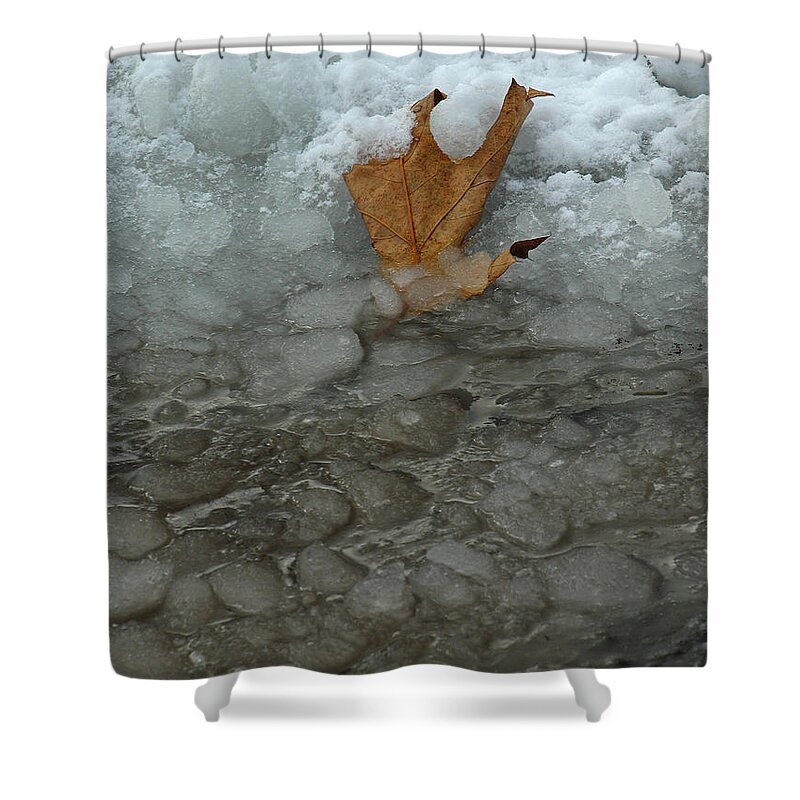 Boston Shower Curtain featuring the photograph Stranded #1 by Juergen Roth