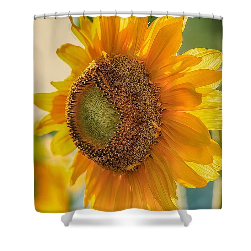 Summer Morning Shower Curtain featuring the photograph Summer morning #1 by Lynn Hopwood