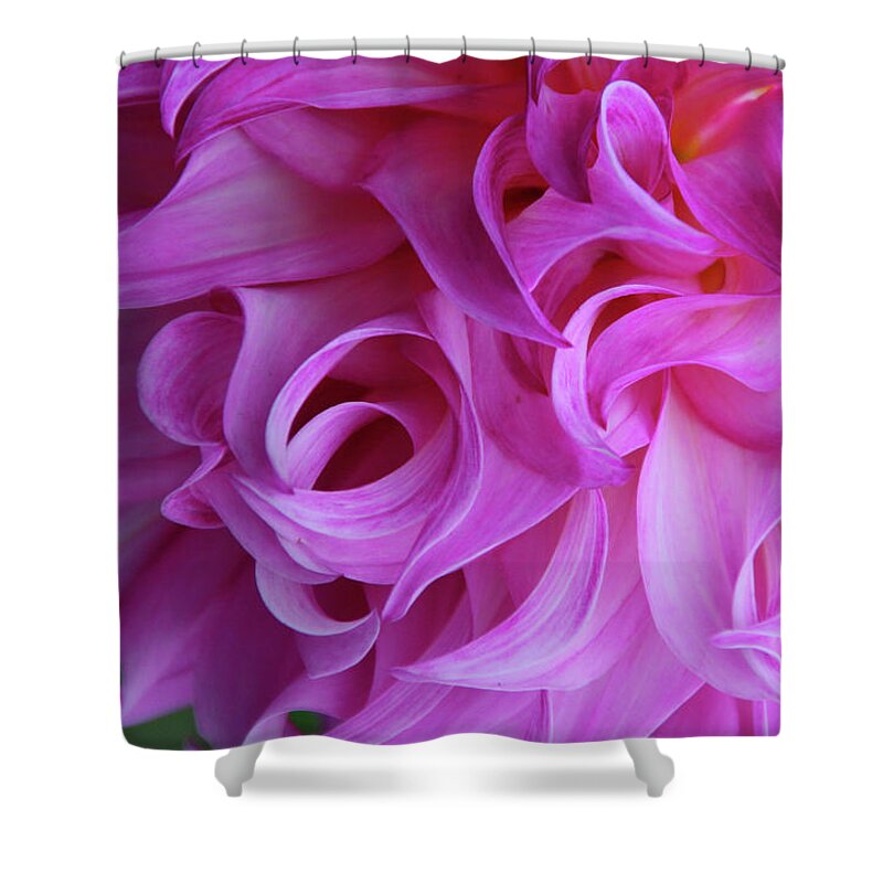 Macro Shower Curtain featuring the photograph Swirls of Romance #2 by Michiale Schneider