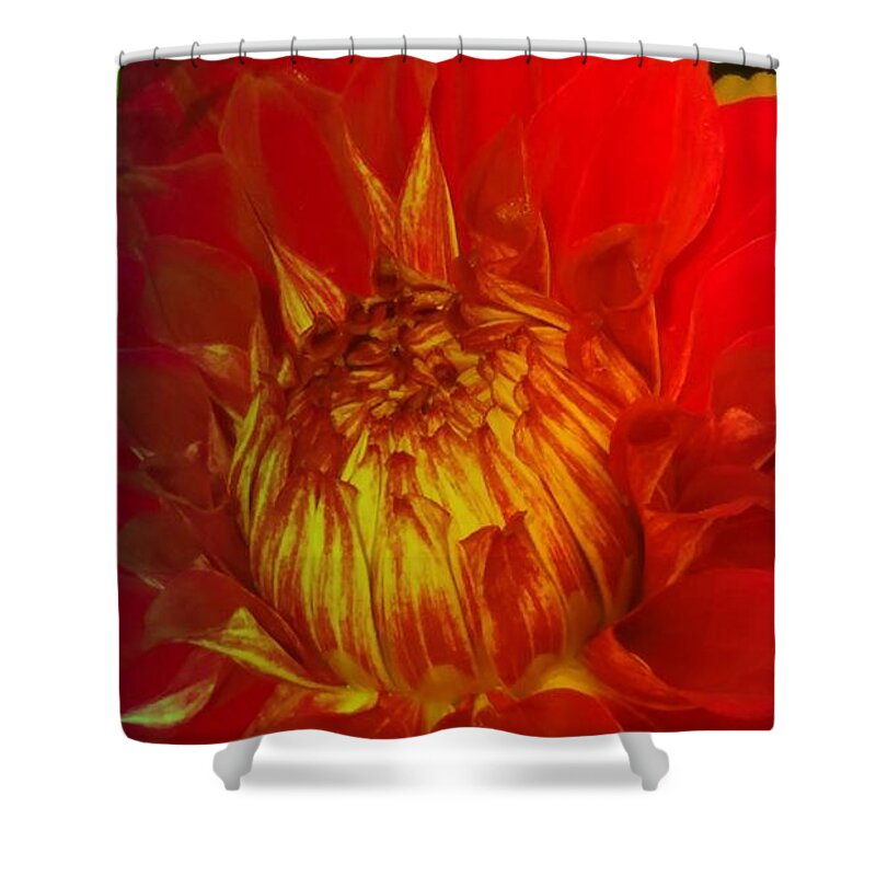 Texture Shower Curtain featuring the photograph Textured Dahlia #1 by Nilu Mishra