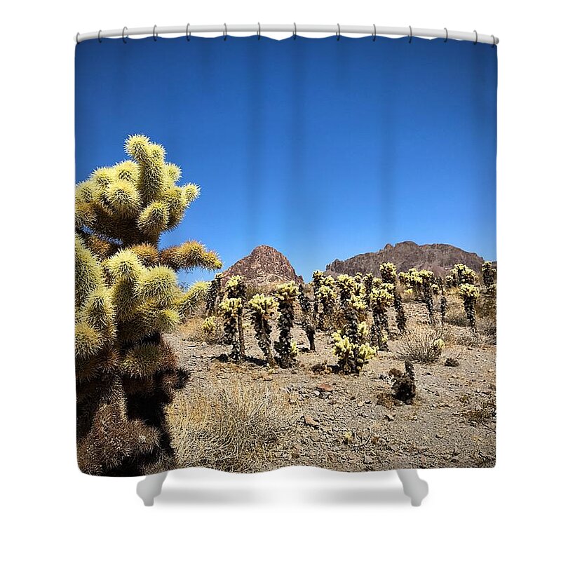 Cactus Shower Curtain featuring the photograph The Gathering #1 by Brad Hodges