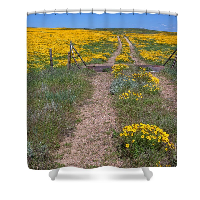 Yellow Wildflowers Shower Curtain featuring the photograph The Golden Gate by Jim Garrison