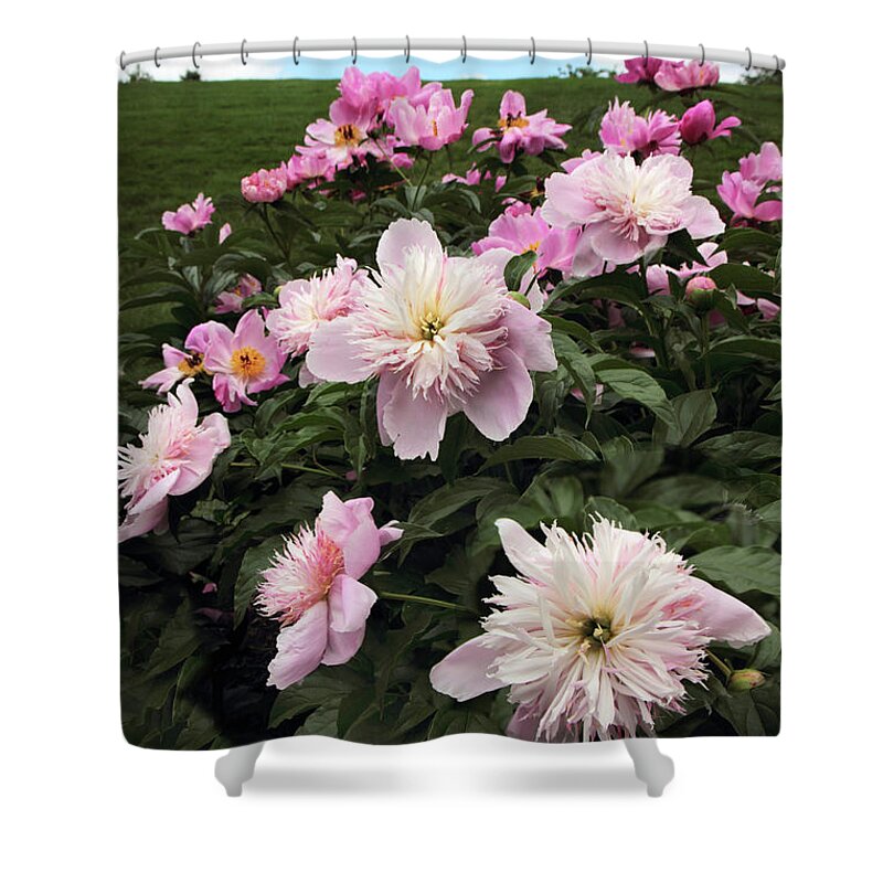 Peony Shower Curtain featuring the photograph The Hills are Alive #1 by Jessica Jenney