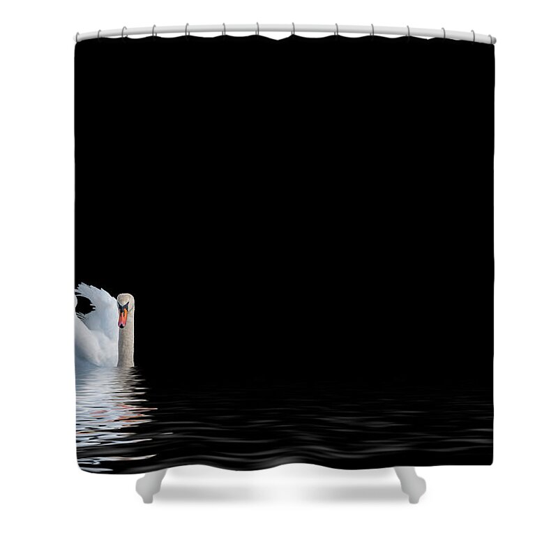 Swan Shower Curtain featuring the photograph The Swan #3 by Cathy Kovarik