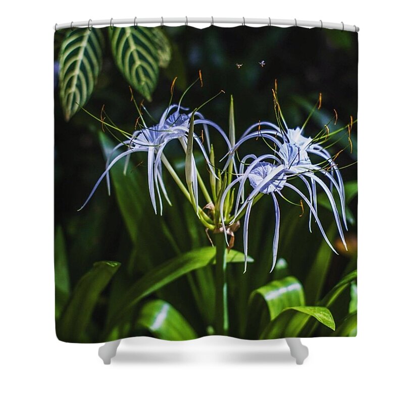 Exotic Shower Curtain featuring the photograph True Beauty #1 by Aleck Cartwright