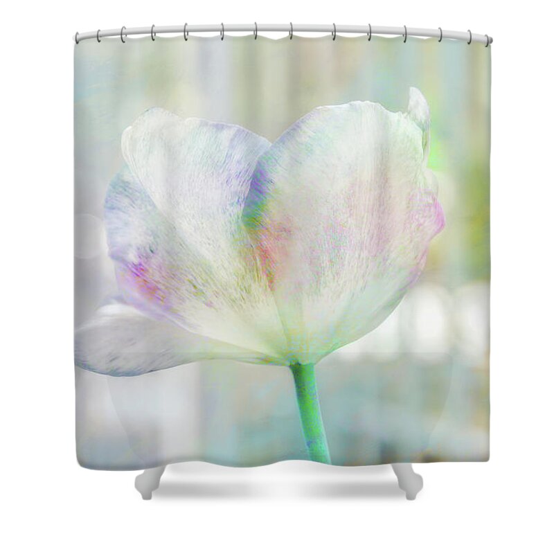 Photography Shower Curtain featuring the digital art Tulip Pastels by Terry Davis