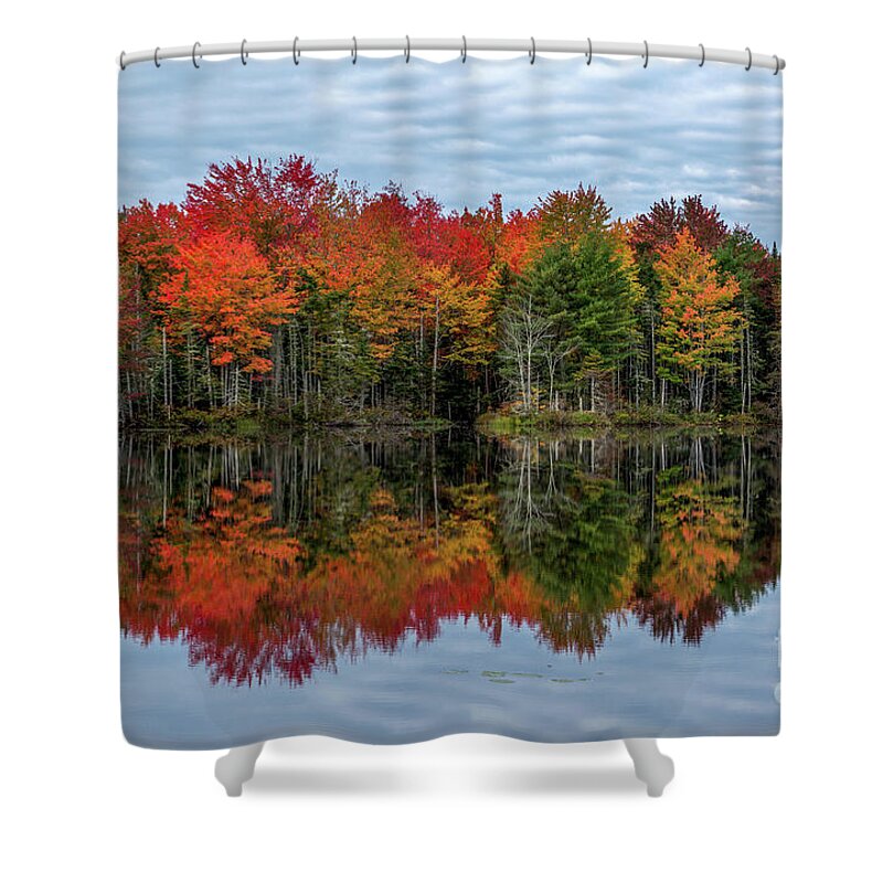Maine Shower Curtain featuring the photograph Vivid Reflections by Karin Pinkham