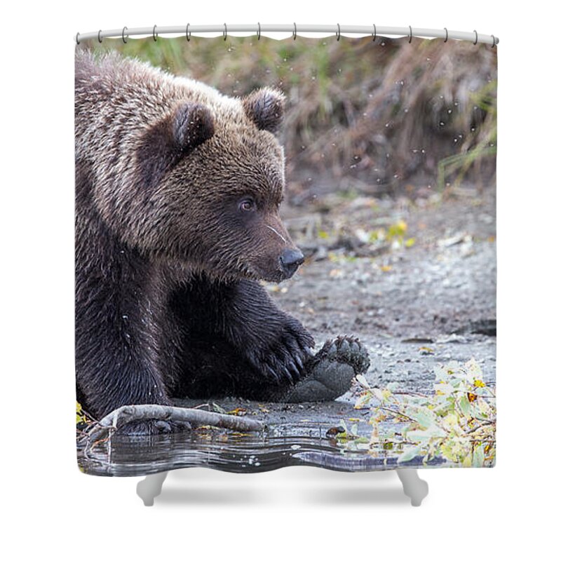 2015 Shower Curtain featuring the photograph Waiting #1 by Kevin Dietrich