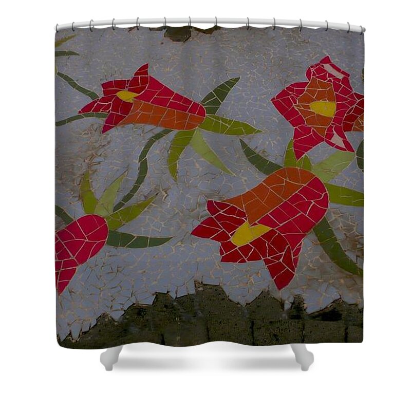 Wall Shower Curtain featuring the photograph Wall #1 by Jackie Russo